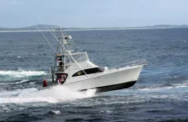 Iona II -