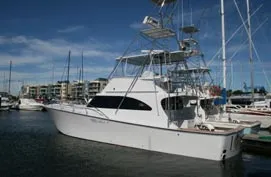 Iona II -