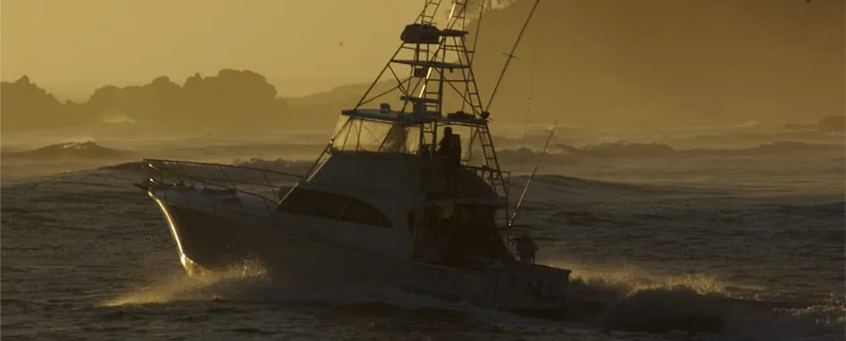 Marlin fishing aboard Iona Game Fishing charters